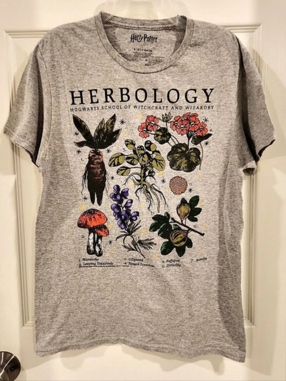 Harry Potter Herbology Graphic Tee Size Small Gray